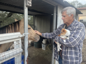Puppy Training in San Antonio, TX: A Complete Local Guide for New Owners