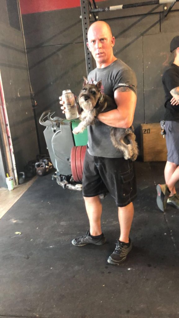 Aggressive Dog Training in San Antonio: What to Expect